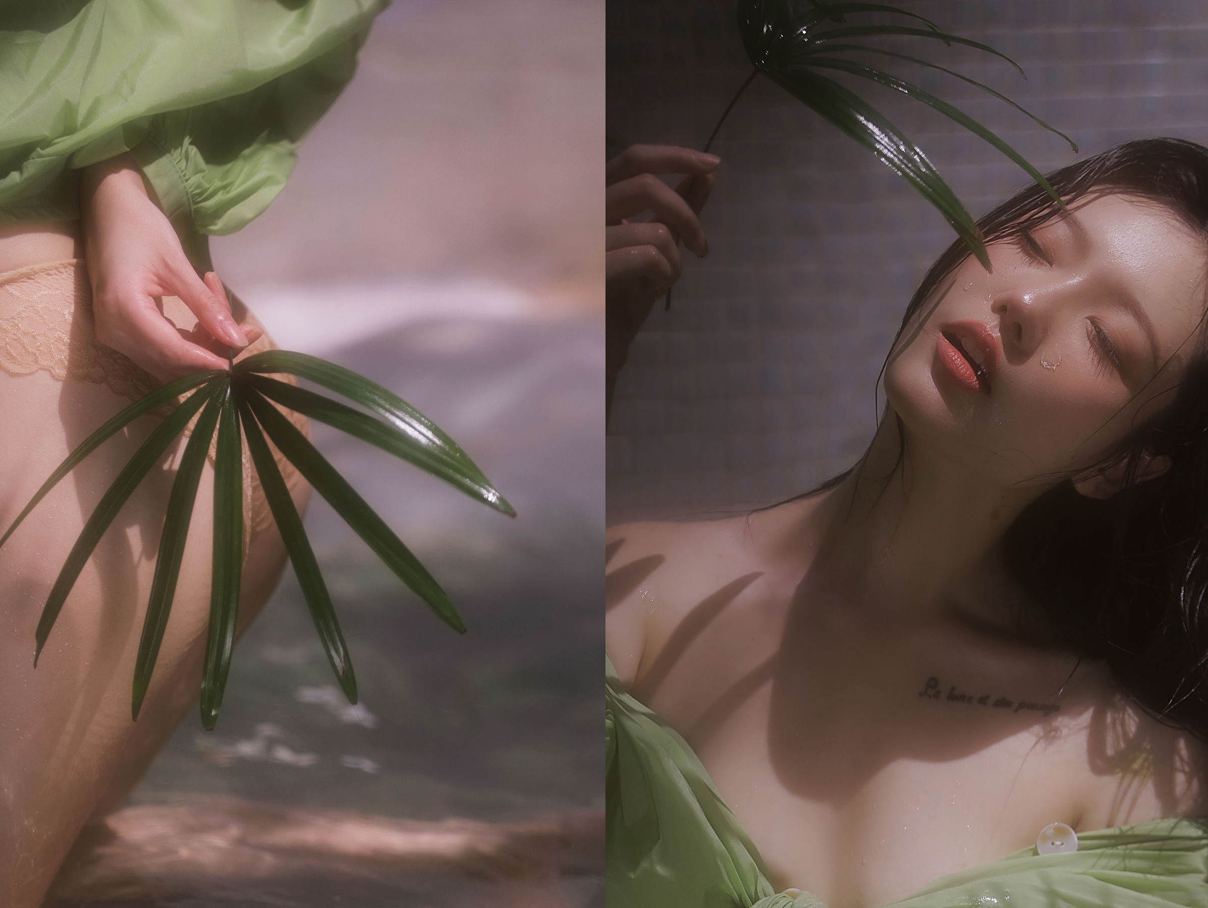 桃良阿宅 - 绿意 第1张图