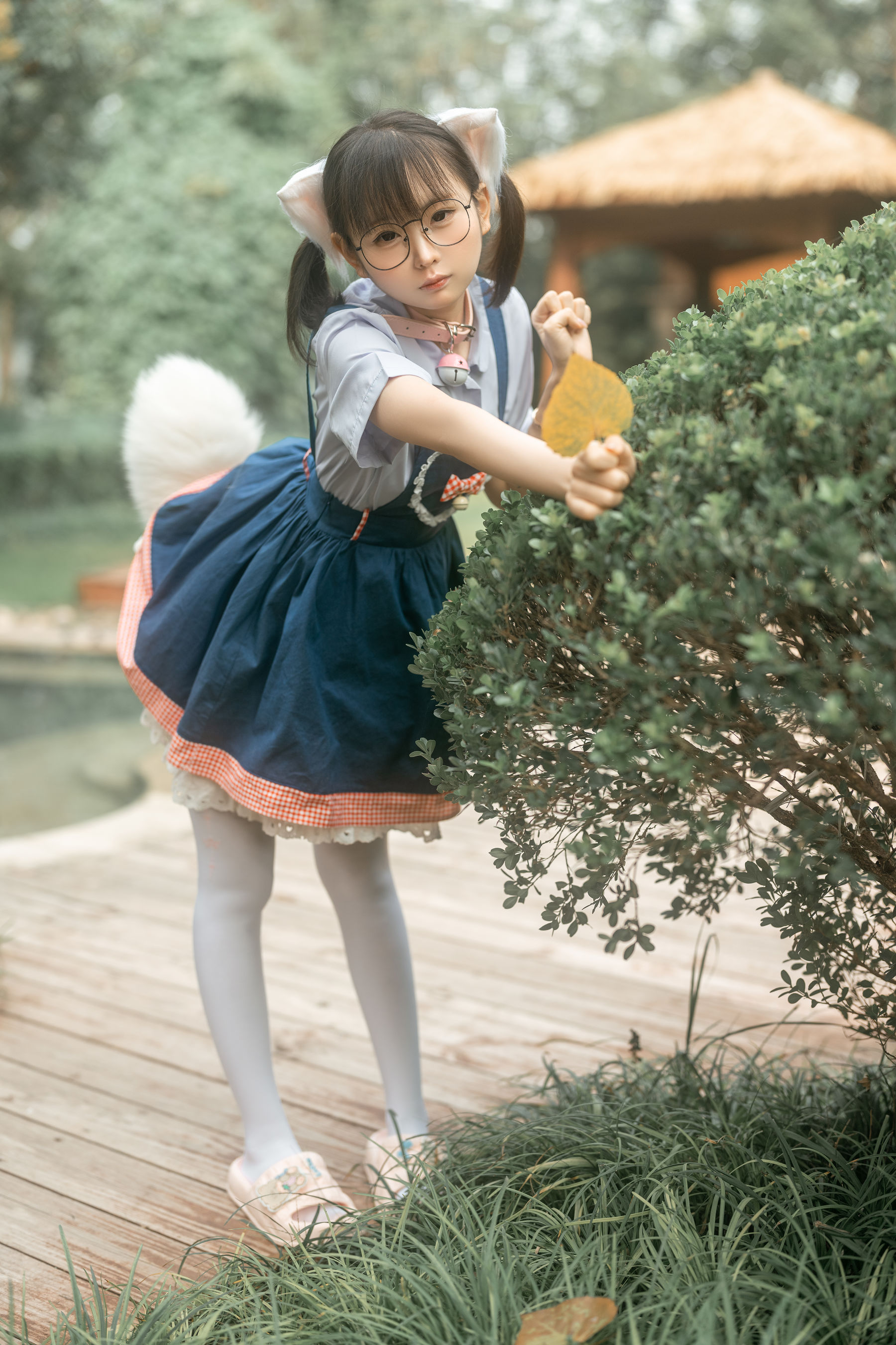 幼水铃衣 - 小猫猫 第1张图